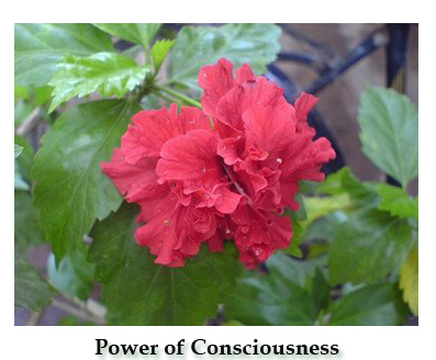 Power of Consciousness
